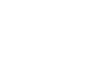 BBG grill